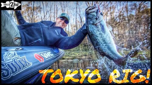How to Flip and Pitch Matted Grass for Springtime Bass