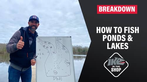 How to fish Ponds and Lakes (IKE Breakdown)