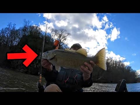 WINTER RIVER FISHING || FINDING SMALLMOUTH STACKED UP ||