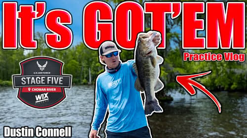 This Place has GOT THEM! - MLF Stage 5 Chowan River - Practice Vlog