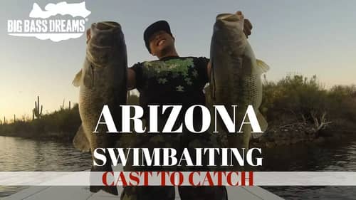 Arizona Swimbaiting with Manny Chee Cast to Catch