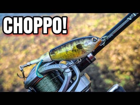 Bass NEVER See a Topwater Bluegill Lure