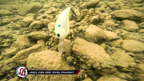 Jenko Fishing CD25 Deep Diving Crankbait Underwater