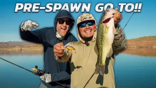 This Go-To Lure Never Fails To Find Bass During The Pre-Spawn!!! So EASY!