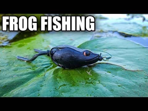Bank Fishing with the River2Sea Bully Wa 2 Frog (Blowups and Review)