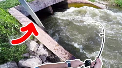 BIG MYSTERY Fish Lives Inside SPILLWAY TUNNEL!!!