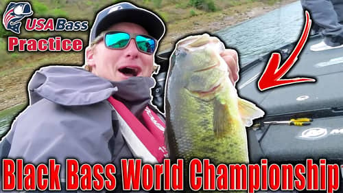 Is THIS the GOLD Winning Pattern? Black Bass World Championship - Practice