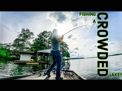 These BASS Were SUPPOSED To Be SHALLOW But They WERE Deep!! || Lake Gaston Bass Fishing