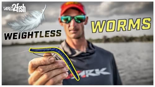 6 Weightless Worm Tips for More Shallow Bass