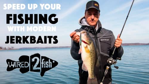 Catch More Bass Fishing Jerkbaits this Winter with these Tricks!