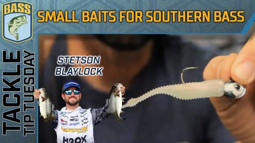 Utilizing 2D and small baits for southern bass in winter