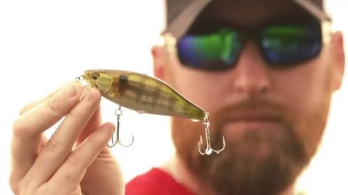 How to Fish Wakebaits in Shallow Water