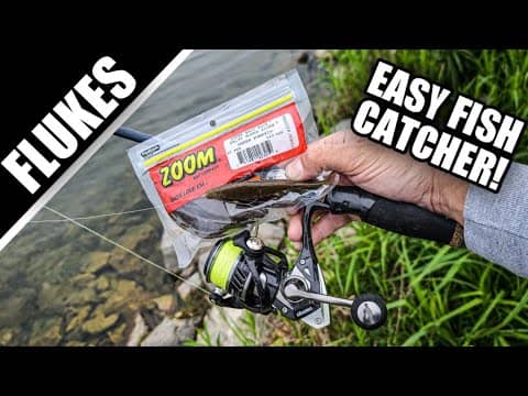 Bank Fishing with Zoom Flukes (Catch PICKY Bass!)
