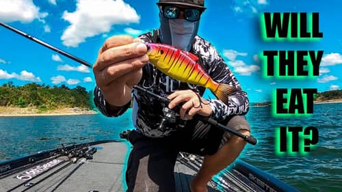 The Best Combo I Have Ever Used | Hobgoblin Swimjigs & Fire Perch Swimbaits On The #Metanium MGL