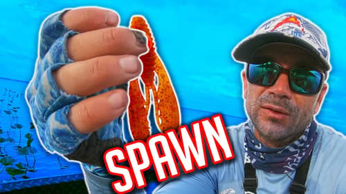 If you Fish in SPRING you NEED to know this TECHNIQUE (Bass Spawn Baits)