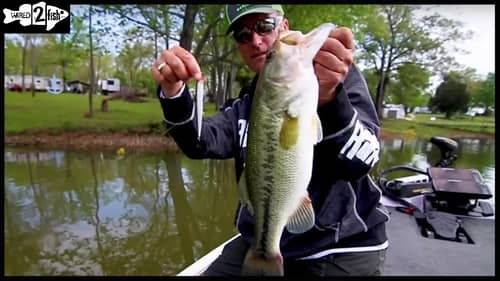 Catching Bass Easily around the Spawn with a Floating Minnow Lure