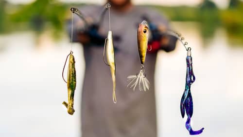 5 Easiest Baits For Summer Shore Fishing! Beginner To Advanced Tricks!