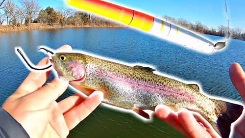 Search How%20to%20catch%20rainbow%20trout Fishing Videos on
