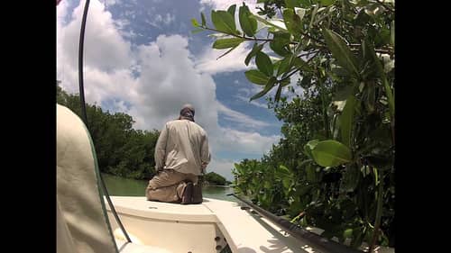 Baby Tarpon Fishing in the Florida Keys
