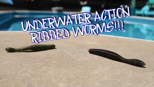 BEST WORM for BASS FISHING!!!