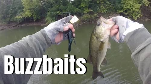 Why Did People Stop Throwing BUZZBAITS? (Buzzbaits For BASS)