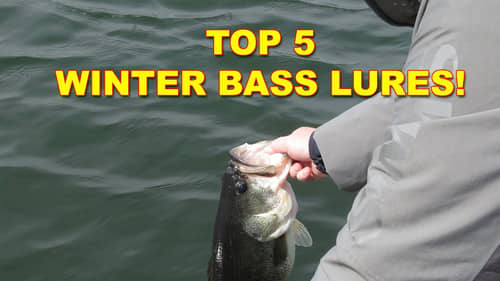 5 Best Lures For Winter Bass Fishing (Big Fish Baits) | Bass Fishing