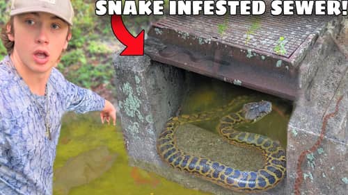 I Found a Sewer INFESTED with Deadly Snakes!