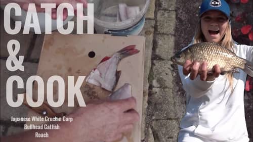 Catch & Cook IN POLAND!! (Carp, Catfish, Roach)