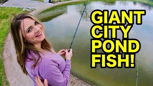 CRAZY city pond fishing with GIRLFRIEND!!