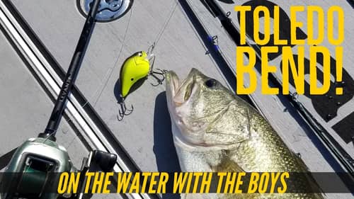 Toledo Bend Bass Fishing Bucket List with the Boys Part 1