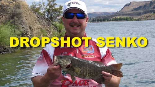 Dropshot Senko - What You Need To Know | Bass Fishing