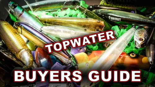 Buyer's Guide: Which Topwater Baits Catch More Fish?