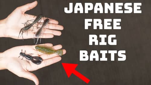 Try These 3 Japanese Free Rig Baits To Catch More Pressured Bass!