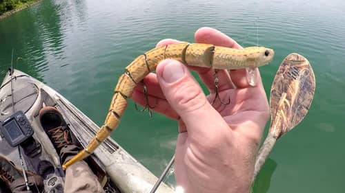 Fishing For Snake Bass