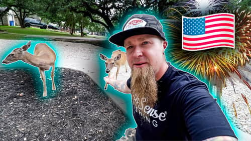 Channel Update On The 4th Of July: Dogs, Snakes, Deer, This Is Crazy! 26K?!?!