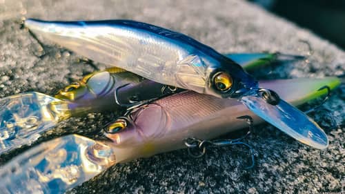 Advanced Jerkbait Tricks For Cold Water Bass Fishing