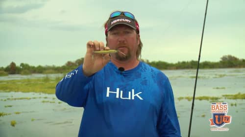 CORRECTLY Fishing a Topwater Bass Plug in Florida