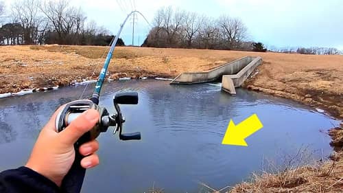 Icy Spillway is LOADED w/ Big Fish!!! (EVERY CAST)