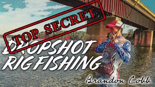 Brandon Cobb's Best Dropshot Fishing Tips