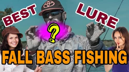 Perfect Fall Bass Fishing Lure