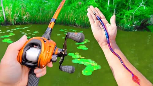 Fishing a BIG Worm for Pond MONSTERS!