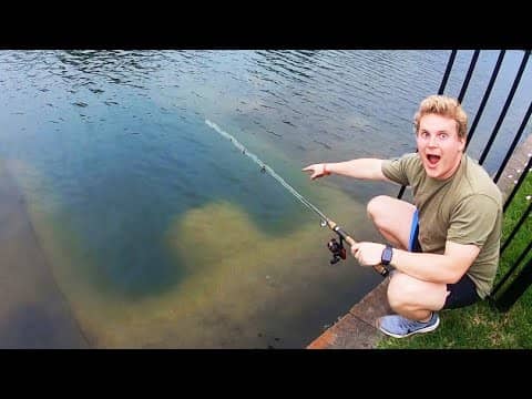 We FOUND GIANT FISH in CITY POND!!!