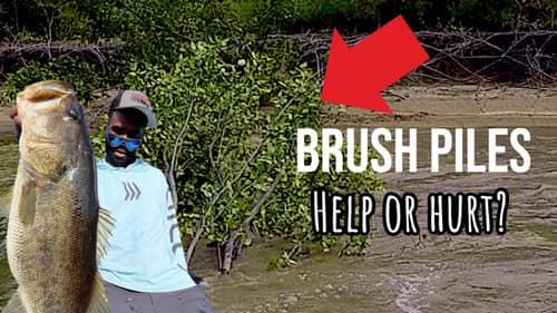Is Planting Brush Piles Helping Or Hurting You?
