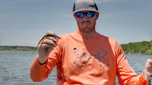 Tough bite? Try "Couch" Fishing Bass With Texas Rigs