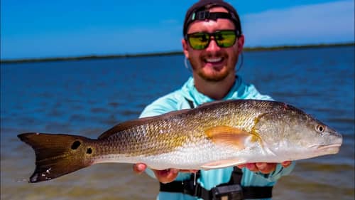 Redfish Catch and Cook (Inshore Fishing)