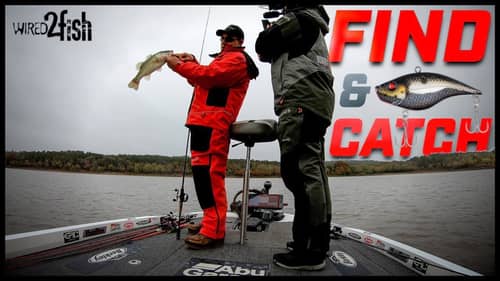 Catch More Fall Bass in Shallow Water | Jig and Crankbait Tips