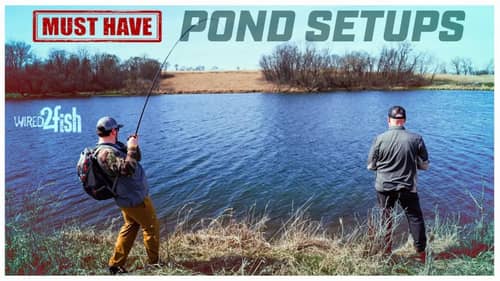 Best Rod and Tackle Setups for Pond Fishing