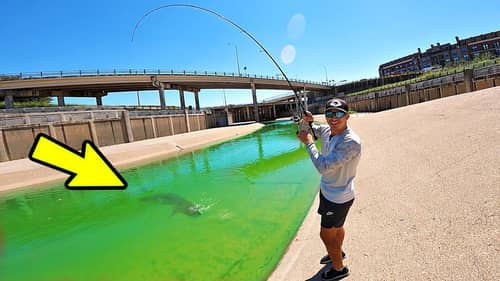 This is Why You Fish Urban Sewer Drains!