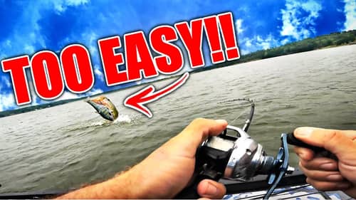 How To CALL YOUR SHOT using a Massive Swimbait for Big Bass!! (Too Easy)