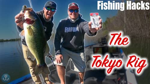 Fishing the BEST Heavy Cover Technique (NEW) - The Tokyo Rig